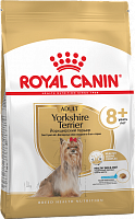 Royal Canin Yorkshire Terrier 8+