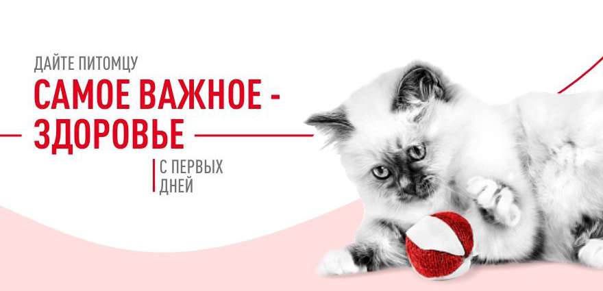 Royal Canin Баннер 05.09.2024