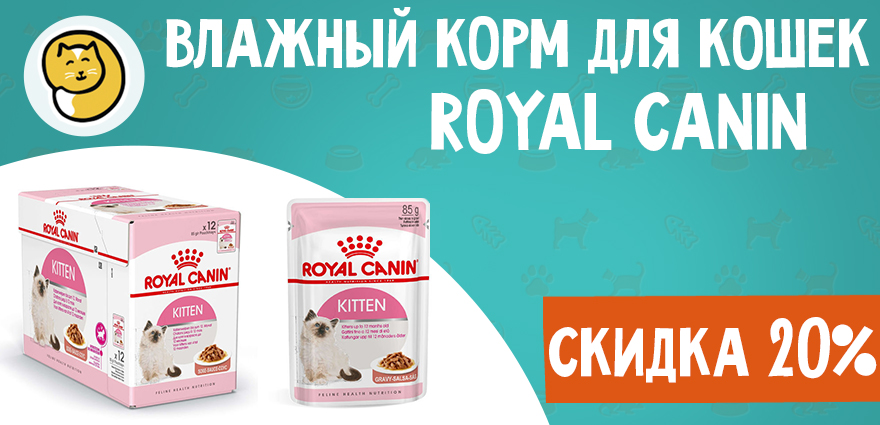 Паучи Royal Canin для кошек со скидкой 20%