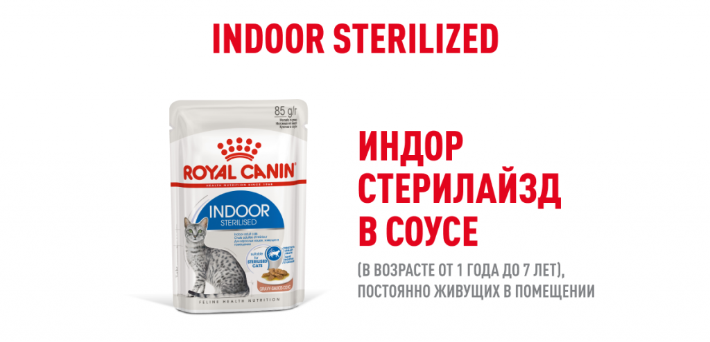 Deskt_Indoor_2.png
