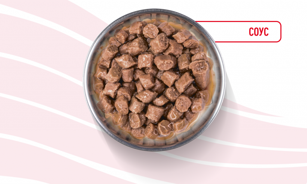 Deskt_kitten_gravy_5.png