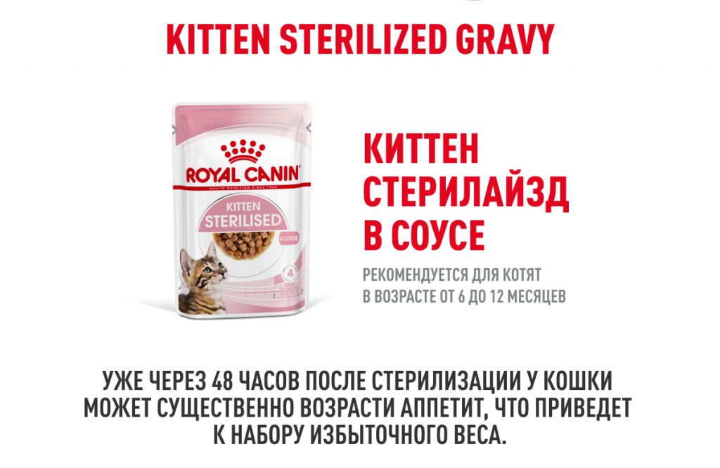 Deskt_kitten_gravy_2.png