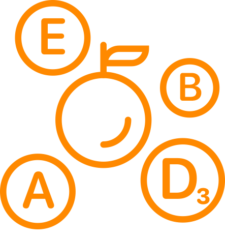 dainty-info-3.png