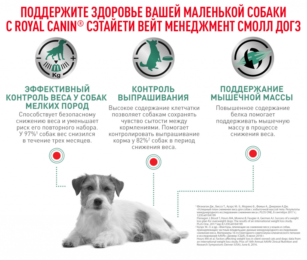 A+Satiety_SmallDogs_4of7.jpg