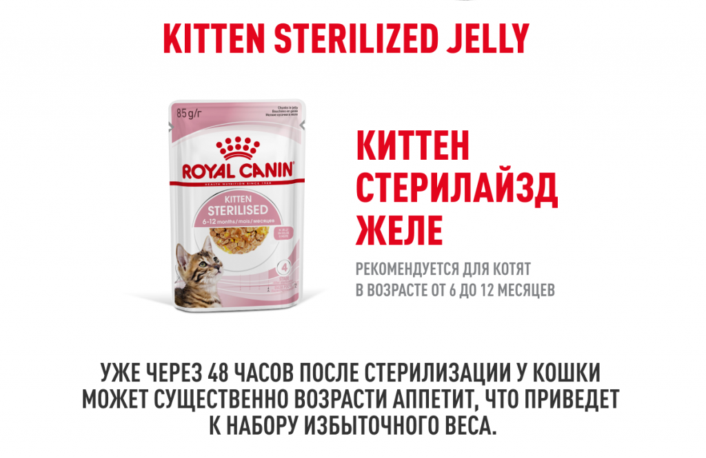 Deskt_kitten_jelly_2.png