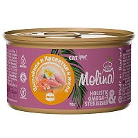 Molina Консервы для кошек цыплёнок и креветки в желе, 70 гр