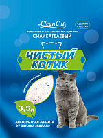 Чистый котик 